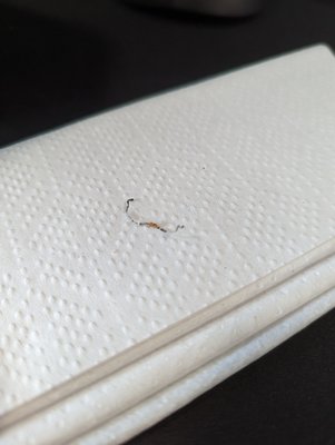 Stockyard Sandwich Co by null