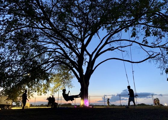 Carson Creek Ranch by null