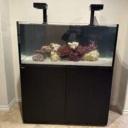 New tank, still cycling New tank, still cycling