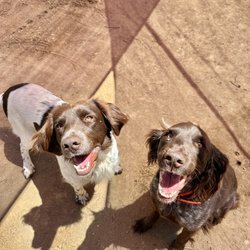Muddy Paws Country Spa
