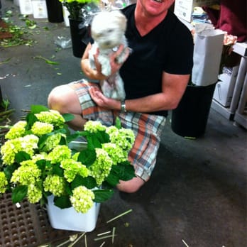 Botanicals On The Gulf - Kevin the owner with his "boss" Scrappy! - Florists Near Me - Naples, Florida Botanicals On The Gulf - Kevin the owner with his "boss" Scrappy! - Florists Near Me - Naples, Florida