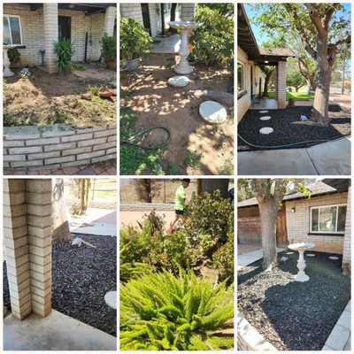 Landscaping and removal - Frank and Son came in and landscaped the front and back yard and refurbished the patio/ lawn with some beautiful black mulch