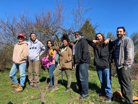 Portland Fruit Tree Project by null