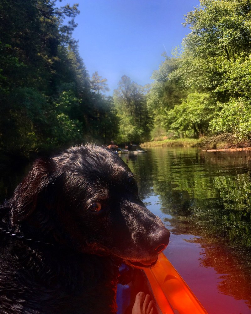 ANIMAL HOUSE Updated May 2024 19 Reviews 705 Asbury Ave, Ocean