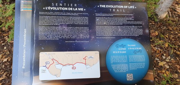 Miguasha National Park by null