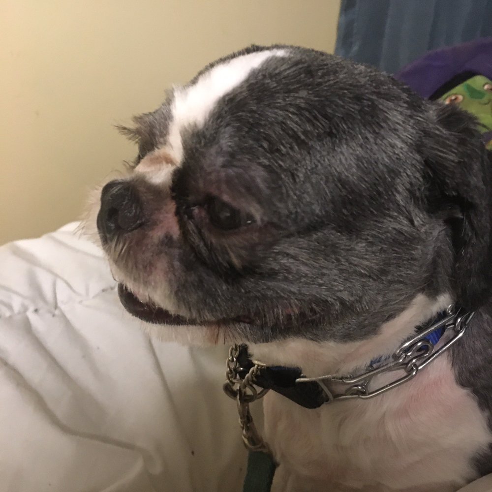 Benny