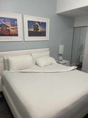 President Hotel South Beach by null