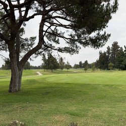 Practice putting green - May 2026
