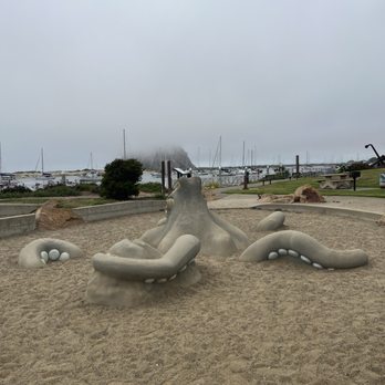 Tidelands Park - Parks Near Me - Morro Bay, California