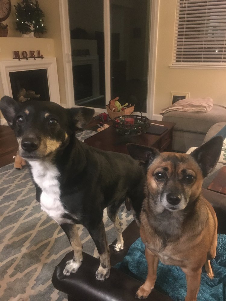 Leo & Lucky's Image