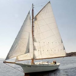 Belfast Bay Company