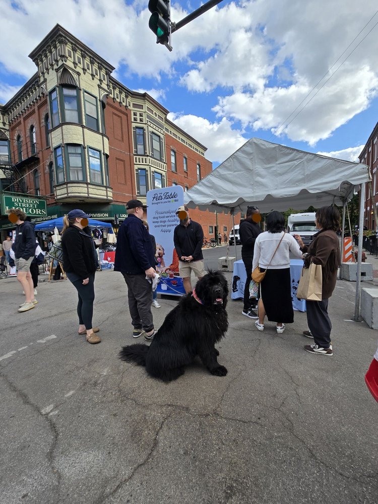 Renegade Craft Fair Chicago