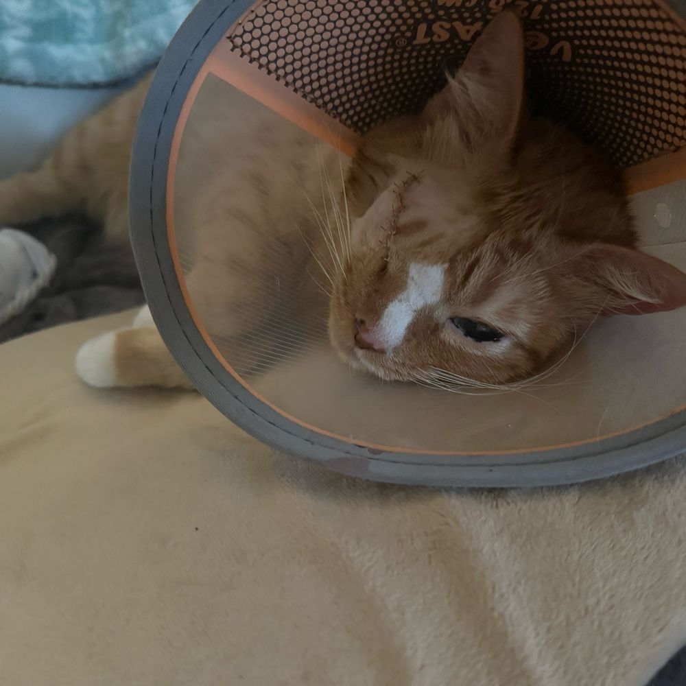 My baby day 1 of recovery
