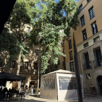 Mimo's Born - Outside seating views - Cocktail Bars Near Me - Barcelona, B