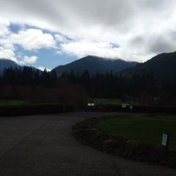Veiw from​ Mallards door