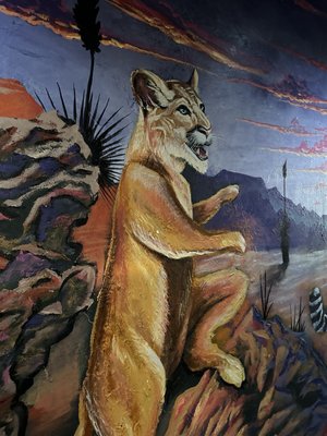 Coyote Cafe & Rooftop Cantina by null