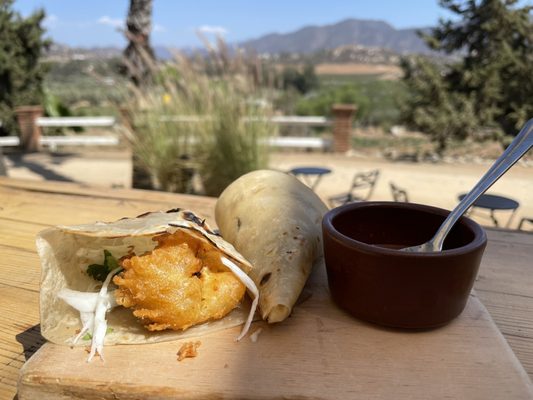 Conchas de Piedra by null