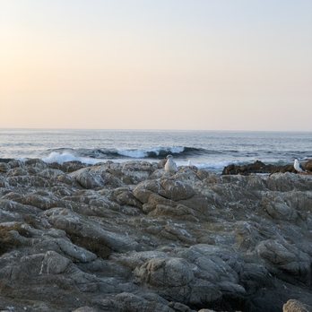 Asilomar State Beach - Parks Near Me - Pacific Grove, California Asilomar State Beach - Parks Near Me - Pacific Grove, California