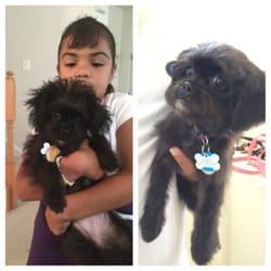 JES Grooming - Before and after