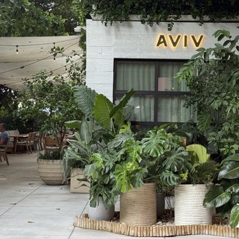AVIV - A well designed space to reflect the freedom and beauty of food. - Middle Eastern Near Me - Miami Beach, Florida AVIV - A well designed space to reflect the freedom and beauty of food. - Middle Eastern Near Me - Miami Beach, Florida