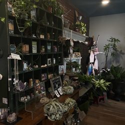 Terrarium