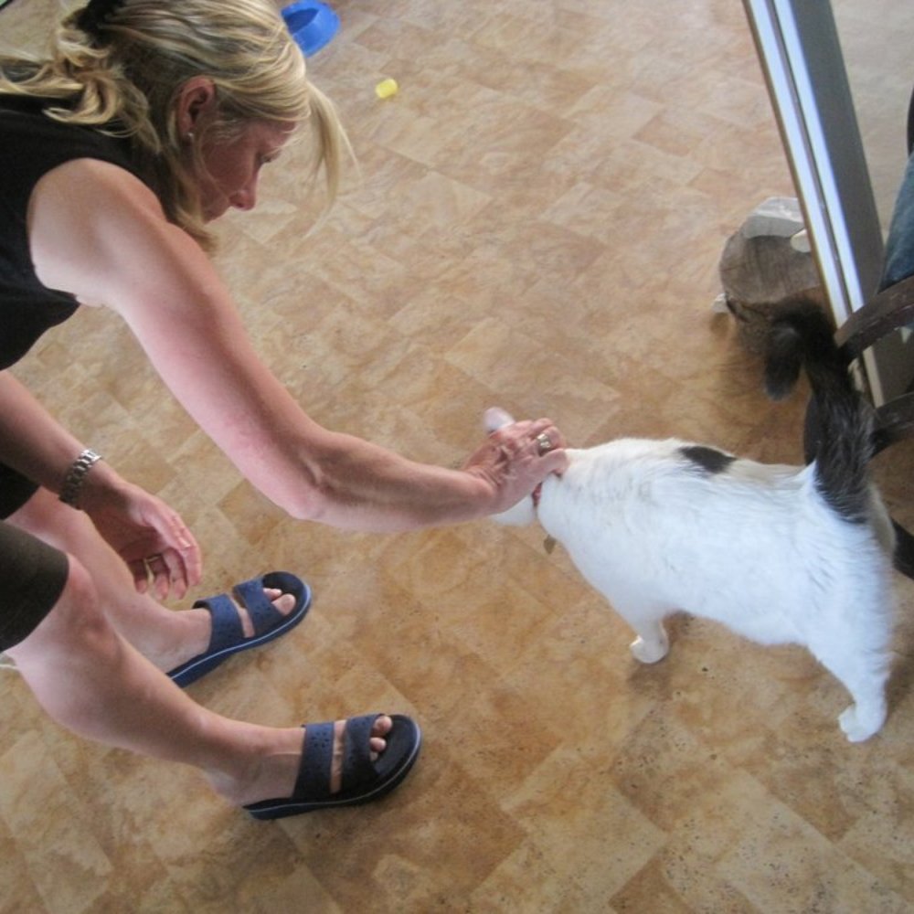 Katzenpension Lommer - Frau Lommer with our cat. - Pet Boarding Near Me - Oberding, BY