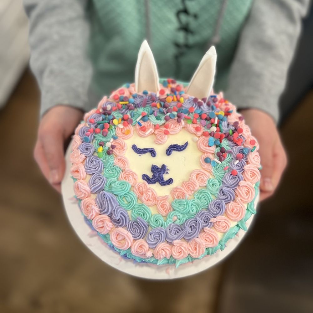 Sugar Coma Treats - a person holding a birthday cake - Bakeries Near Me - Omaha, Nebraska Sugar Coma Treats - a person holding a birthday cake - Bakeries Near Me - Omaha, Nebraska