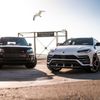 SD Lambo gift card