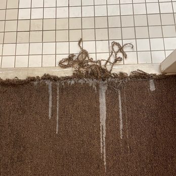 Super 8 by Wyndham Jasper - Torn carpet which was sticky and disgusting - Hotels Near Me - Jasper, Indiana Super 8 by Wyndham Jasper - Torn carpet which was sticky and disgusting - Hotels Near Me - Jasper, Indiana