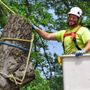 Photo of Immaculate Tree Care