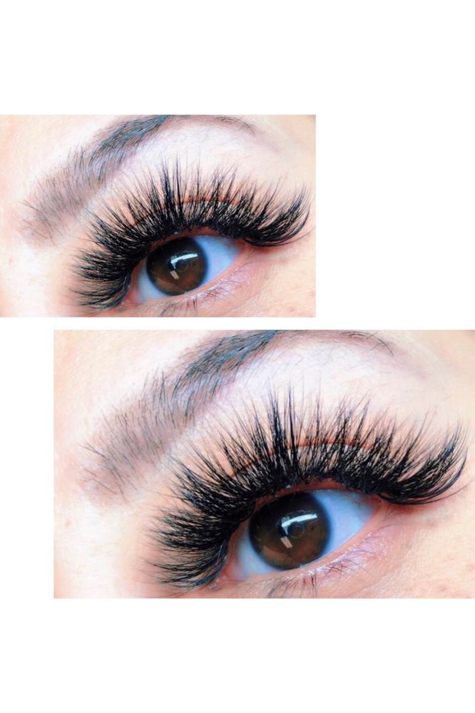 PNC Lashes Logo