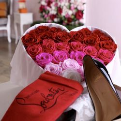 Saison Des Roses