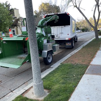 California Tree Design - truck - Tree Services Near Me California Tree Design - truck - Tree Services Near Me