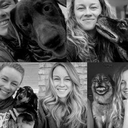Emily Miller Pets