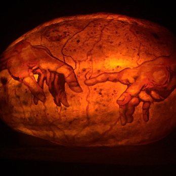 Minnesota Zoo - Would Michelangelo be proud or what?? - Zoos Near Me - Apple Valley, Minnesota Minnesota Zoo - Would Michelangelo be proud or what?? - Zoos Near Me - Apple Valley, Minnesota