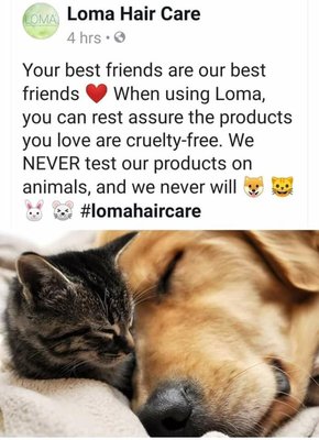 Mariposa Salon by null