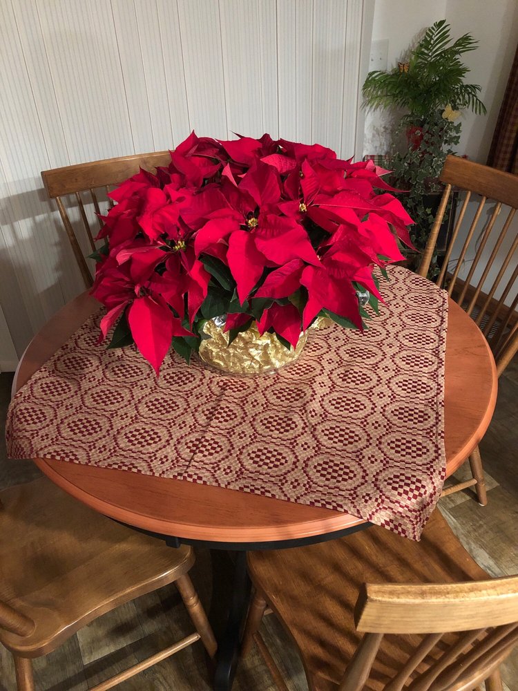 JEFF’S GREENHOUSES Updated August 2024 7781 Main St, Bethel