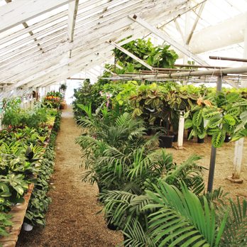 Instant Jungle - Nurseries & Gardening Near Me - Orange, California Instant Jungle - Nurseries & Gardening Near Me - Orange, California