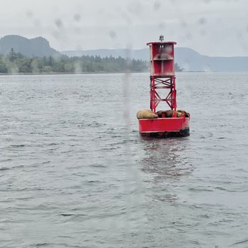 San Juan Cruises - Boating Near Me - Bellingham, Washington San Juan Cruises - Boating Near Me - Bellingham, Washington