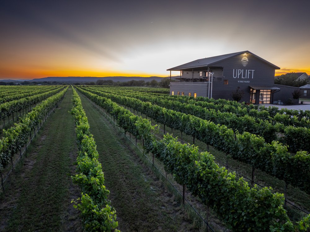 Uplift Vineyard Logo