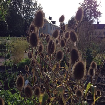 Linnéträdgården - Nurseries & Gardening Near Me - Uppsala, C
