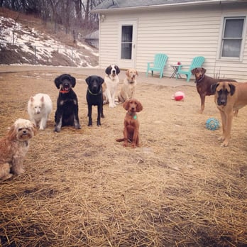 Katie's Kennel - Pet Sitting Near Me - Omaha, Nebraska Katie's Kennel - Pet Sitting Near Me - Omaha, Nebraska