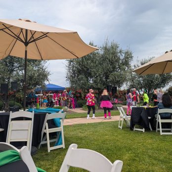 Berghold Vineyards & Winery - Wineries Near Me - Lodi, California