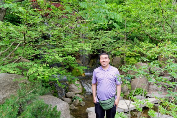 Anderson Japanese Gardens by null