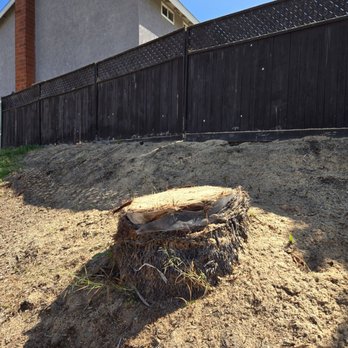 Active Landscape And Tree Service - Tree Services Near Me Active Landscape And Tree Service - Tree Services Near Me