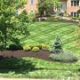 Photo of Professionally Designed Services