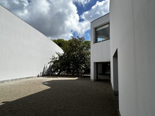 Serralves Museum of Contemporary Art by null