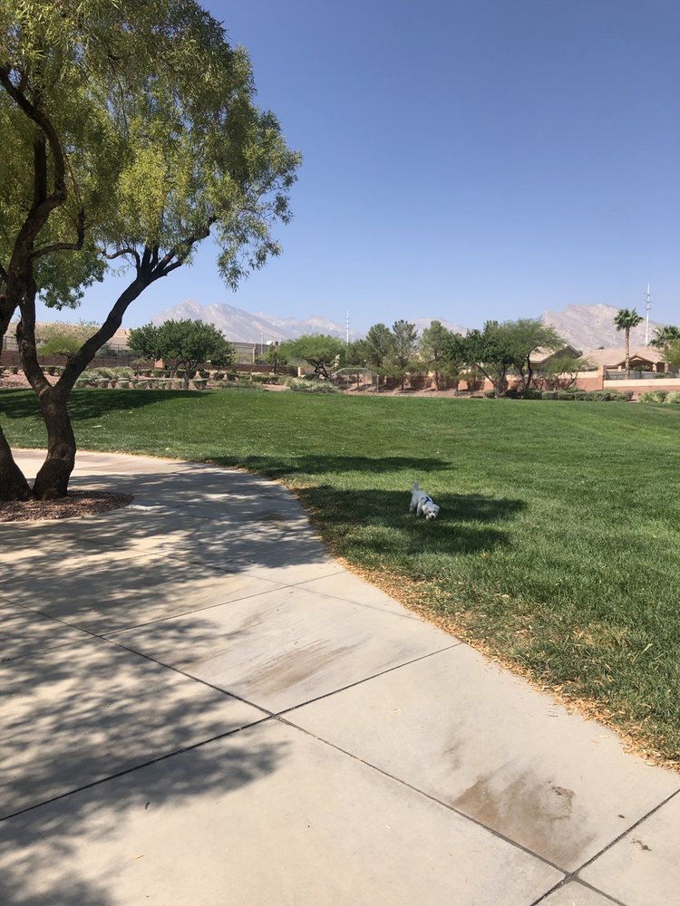 TREE TOP PARK Updated September 2024 21 Photos 600 Sagebury Dr