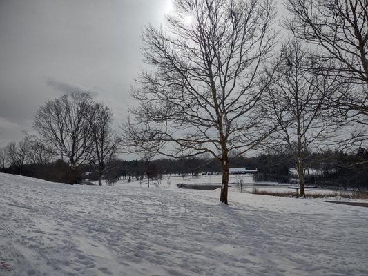 Plymouth Township Park by null