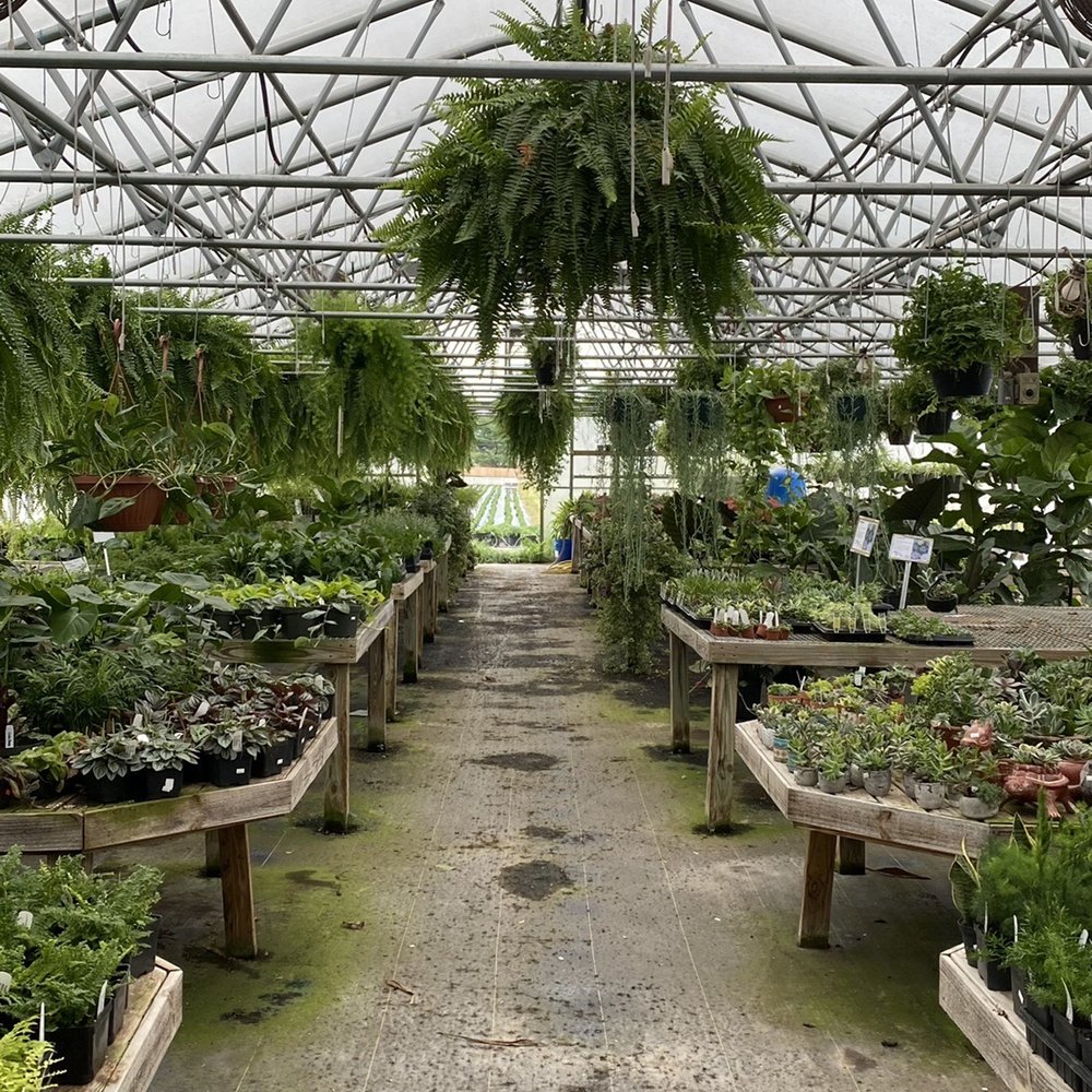 Lapp's Greenhouse - Houseplants and Indoor Greenery - Nurseries & Gardening Near Me - Cowan, Tennessee